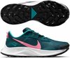 Nike Pegasus Trail 3