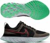 Nike React Infinity Run Flyknit 2